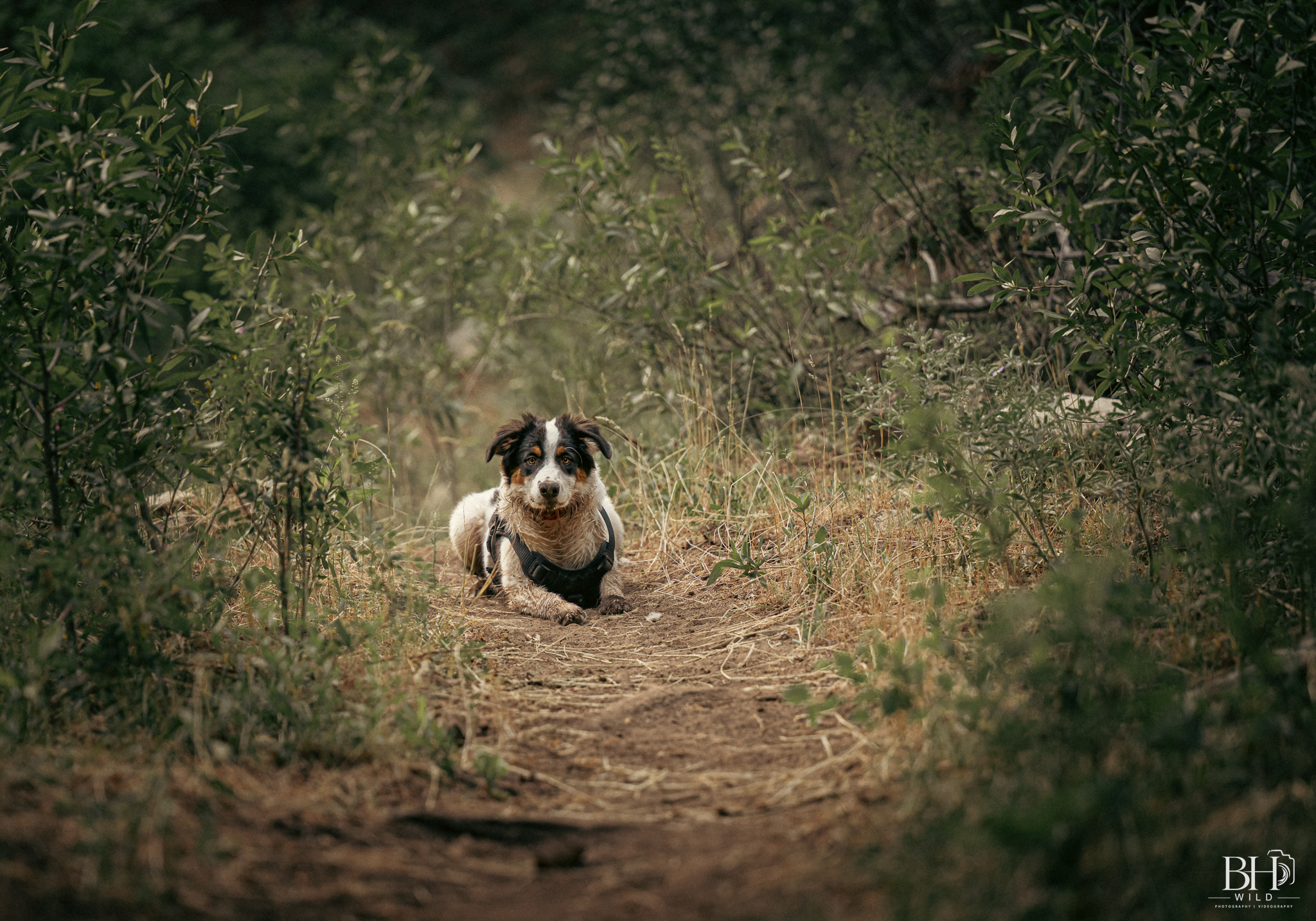 Hunting & Outdoors